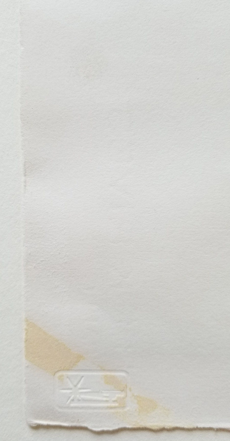 Verso Detail